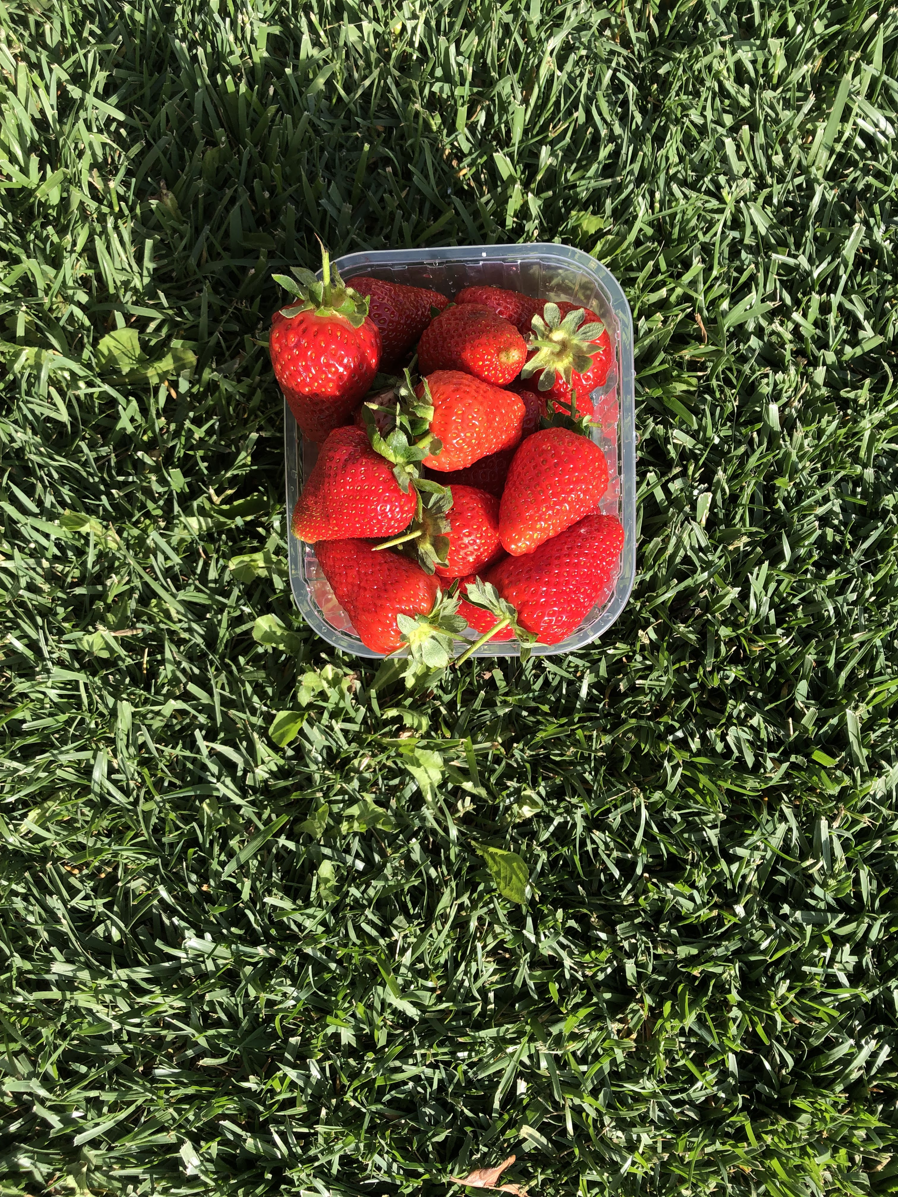 Find peace in simple food. Eating for health doesn't have to include label reading and stressing about seed oils. Grab a strawberry, wash it, and eat it. Call, text, or email RDN Jessica B. Gebhart and let's find your fast foods -- no math, ingredient scanning, or increased mental load required.