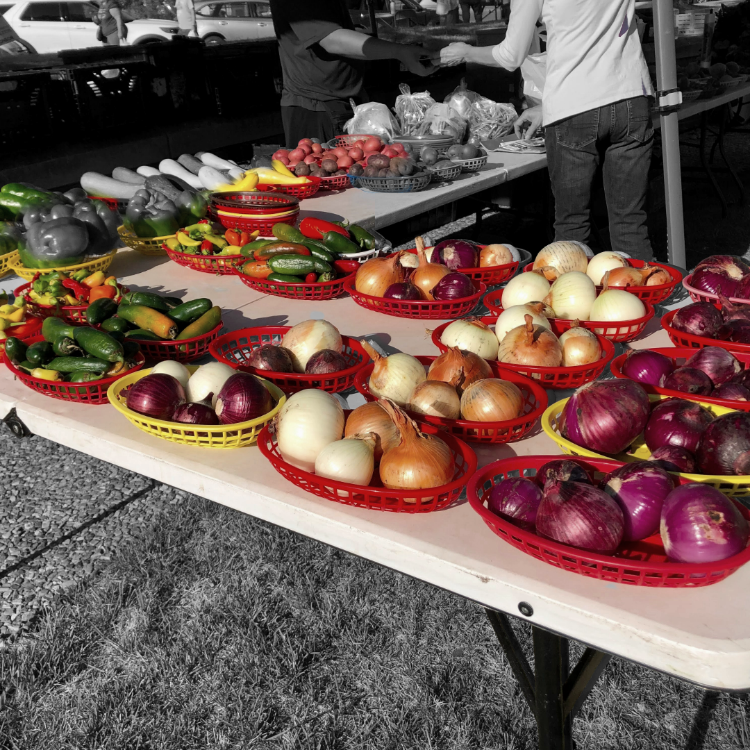 Shopping Oklahoma's farmer's markets bring local color to your life and support to your neighbors. Farmer's are a vital part of Oklahoma's food sovereignty and you are too. Weather the recalls and contaminations with the full flavor of local produce and meat.